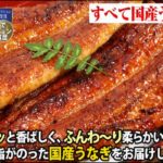 特大国産うなぎの3種セット|うなぎ屋かわすい