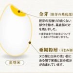 金芽米オンラインショップの金芽米は美味しいし栄養価が高い