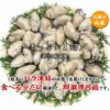 広島牡蠣は大粒むき身で冷凍一粒ずつバラ凍結