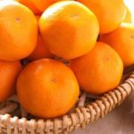 美味しいみかんのおすすめは？楽天で人気のこちら